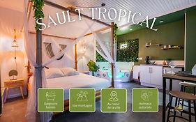 Sault Tropical - Idéal couple - Balnéo Led - Vue parc&montagne - Wifi - Stationnement gratuit - 5min à pied des bars, restaurants&commerces
